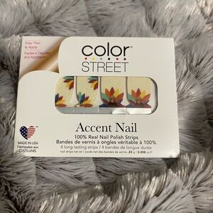 Color Street Vibrant Floral Turkey Accent Nail Strips FEATHER TOGETHER